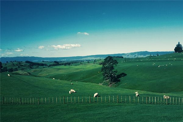 梦见牧场是什么意思 梦见牧场是什么意思