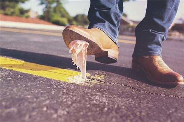 梦见踩到猫屎是什么意思 梦见踩到猫屎是什么意思