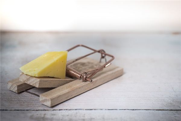 梦见陷阱是什么意思 梦见陷阱是什么意思