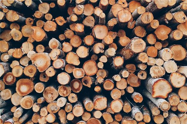 梦见一捆柴是什么意思 梦见一捆柴是什么意思