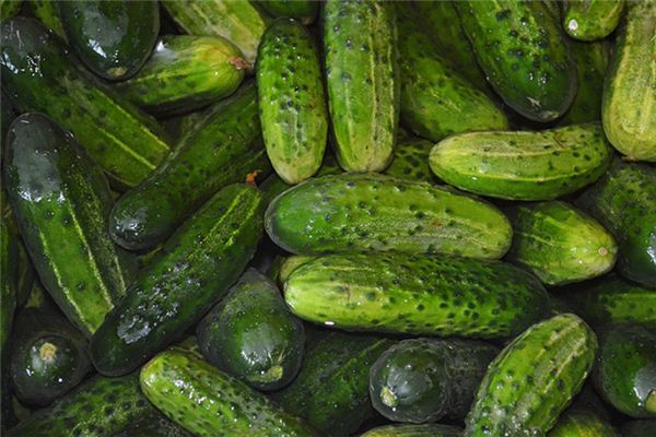 孕妇梦见黄瓜 孕妇梦见黄瓜