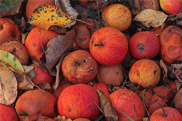 梦见腐烂是什么意思 梦见腐烂是什么意思