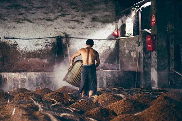 梦见酿酒是什么意思 梦见酿酒是什么意思