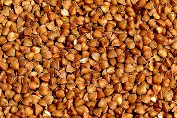 梦见荞麦是什么意思 梦见荞麦是什么意思