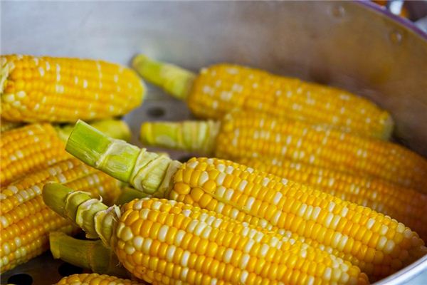 梦见玉米粉是什么意思 梦见玉米粉是什么意思