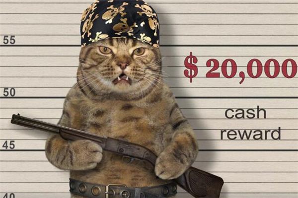 梦见被通缉是什么意思 梦见被通缉是什么意思