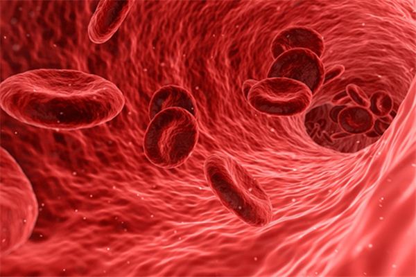 梦见静脉血管是什么意思 梦见静脉血管是什么意思