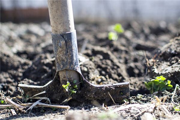 梦见泥铲是什么意思 梦见泥铲是什么意思