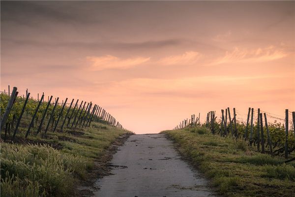 梦见道路是什么意思 梦见道路是什么意思