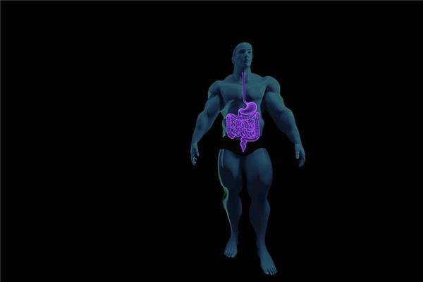 梦见肠胃是什么意思 梦见肠胃是什么意思