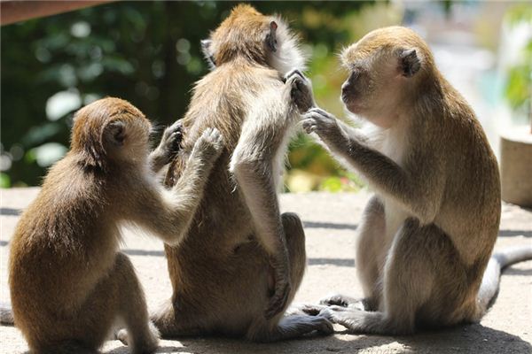 梦见搔痒是什么意思 梦见搔痒是什么意思