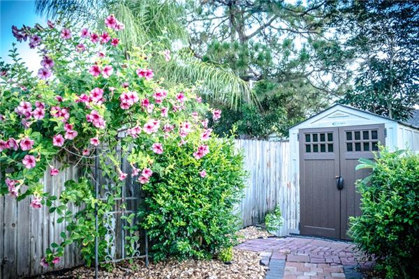 梦见花棚是什么意思 梦见花棚是什么意思