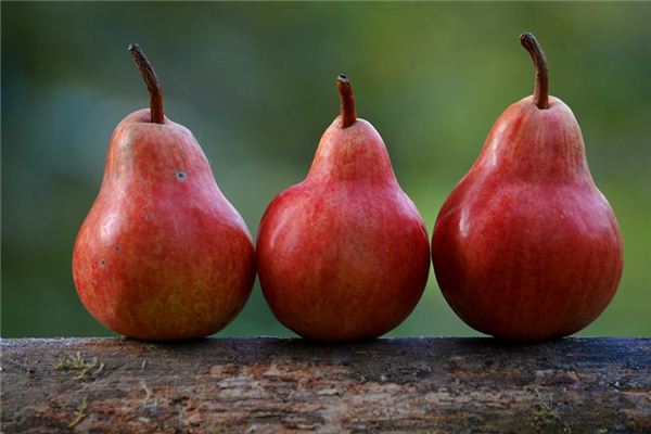 梦见梨是什么意思 梦见梨是什么意思