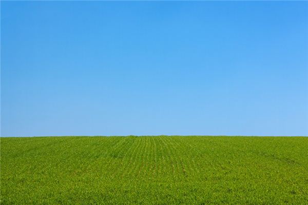 梦见平原是什么意思 梦见平原是什么意思