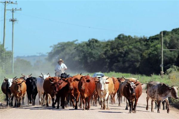 梦见被人赶走是什么意思 梦见被人赶走是什么意思