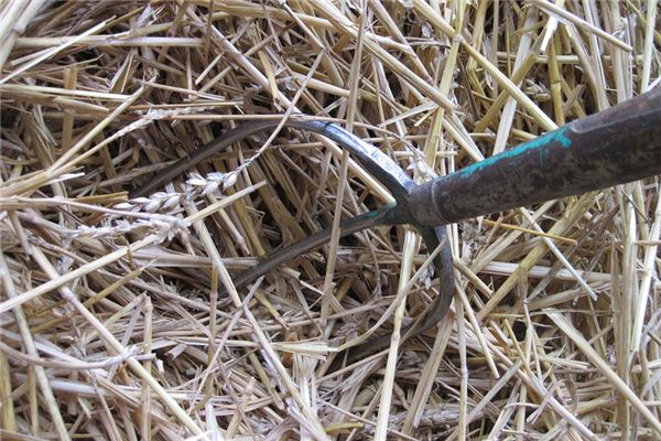 梦见干草叉是什么意思 梦见干草叉是什么意思