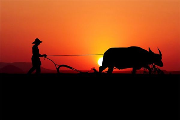 梦见犁是什么意思 梦见犁是什么意思