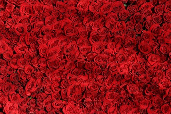 梦见红色是什么意思 梦见红色是什么意思