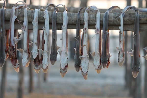 梦见干鱼是什么意思 梦见干鱼是什么意思