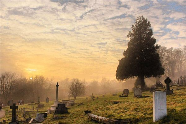 梦见祖坟 梦见祖坟