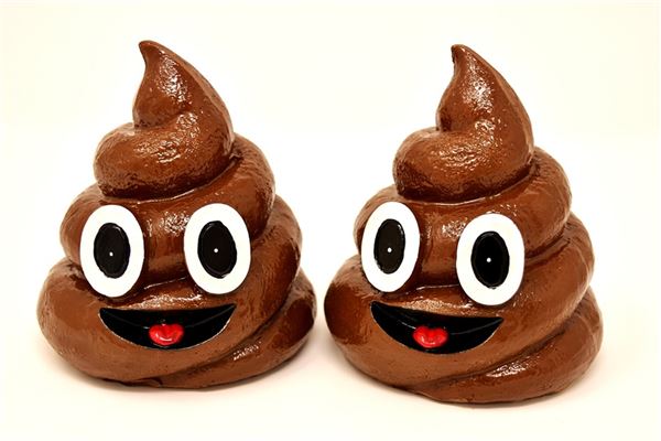 梦见自己拉屎是什么意思 梦见自己拉屎是什么意思