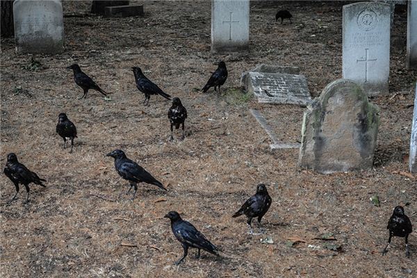 梦见挖坟是什么意思 梦见挖坟是什么意思