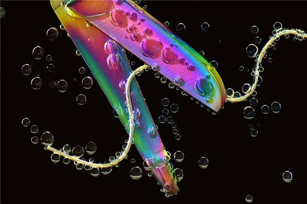 梦见断网是什么意思 梦见断网是什么意思