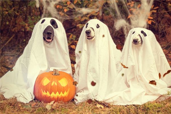 梦见鬼神是什么意思 梦见鬼神是什么意思