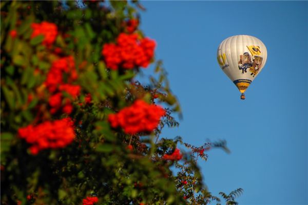 梦见半空是什么意思 梦见半空是什么意思