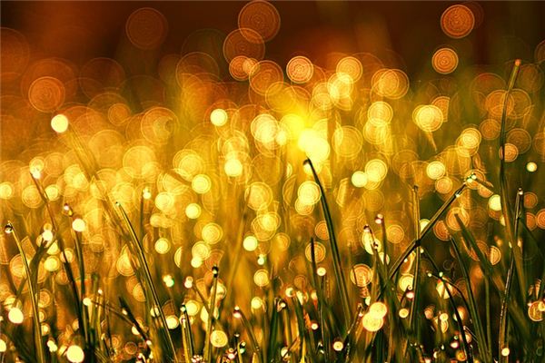 梦见模糊是什么意思 梦见模糊是什么意思